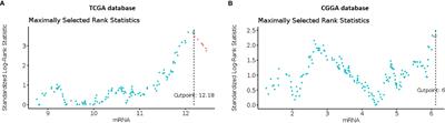 Caveolin-1, a Key Mediator Across Multiple Pathways in Glioblastoma and an Independent Negative Biomarker of Patient Survival